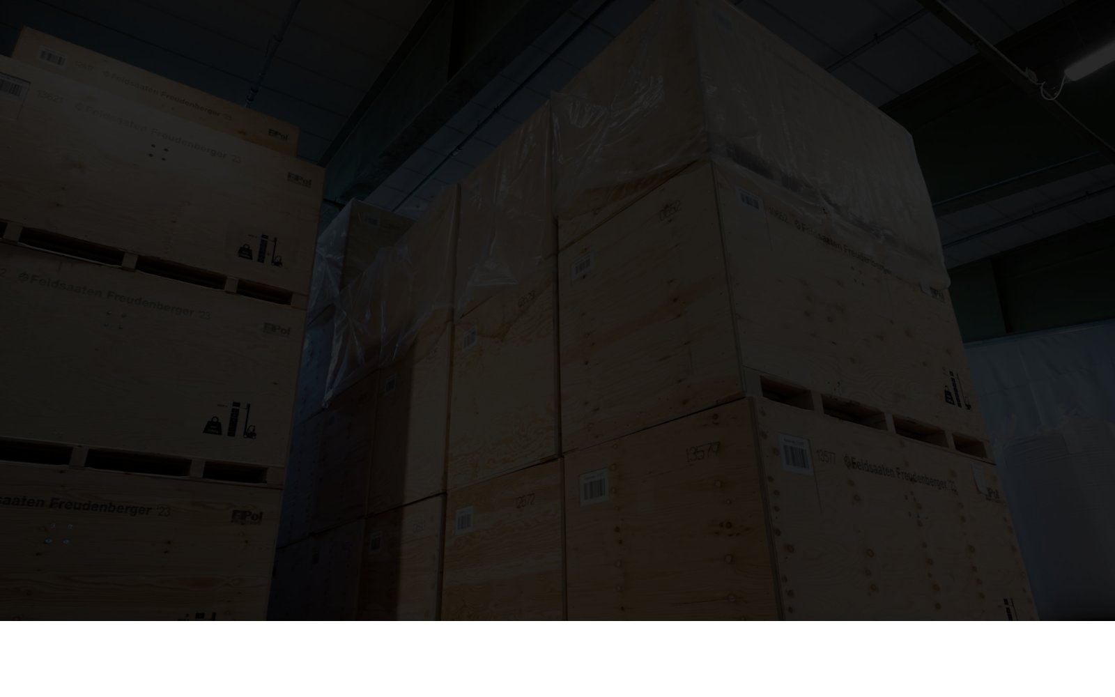 Extra scherm van het project Pol Pallets