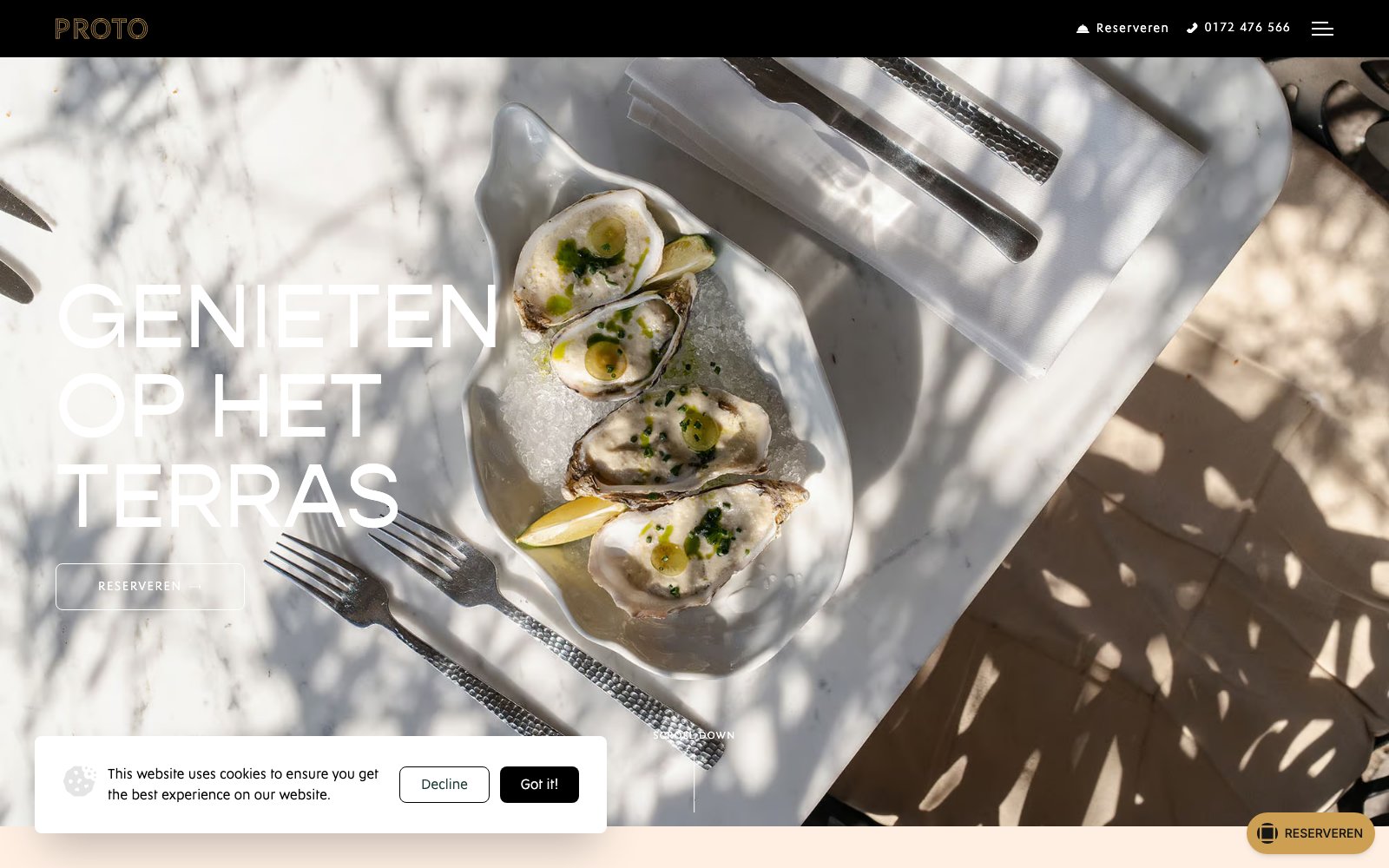 Homepage van de website van Proto